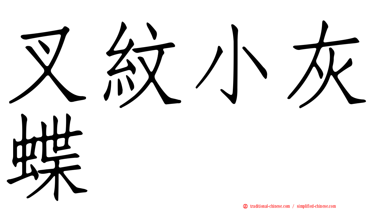 叉紋小灰蝶