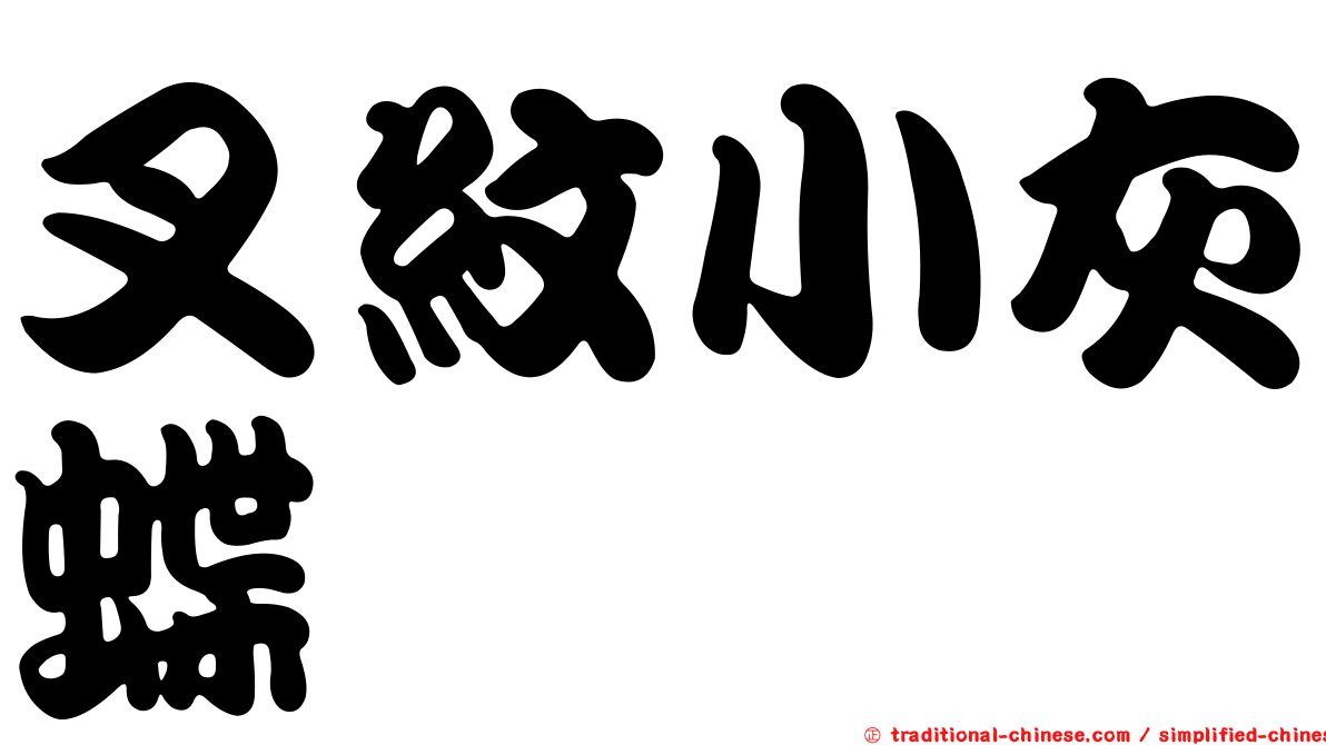 叉紋小灰蝶