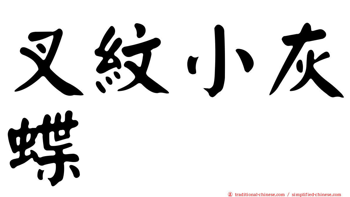 叉紋小灰蝶