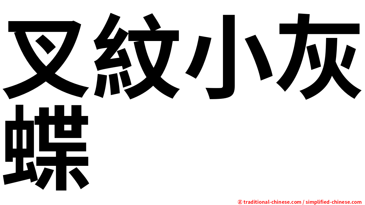 叉紋小灰蝶