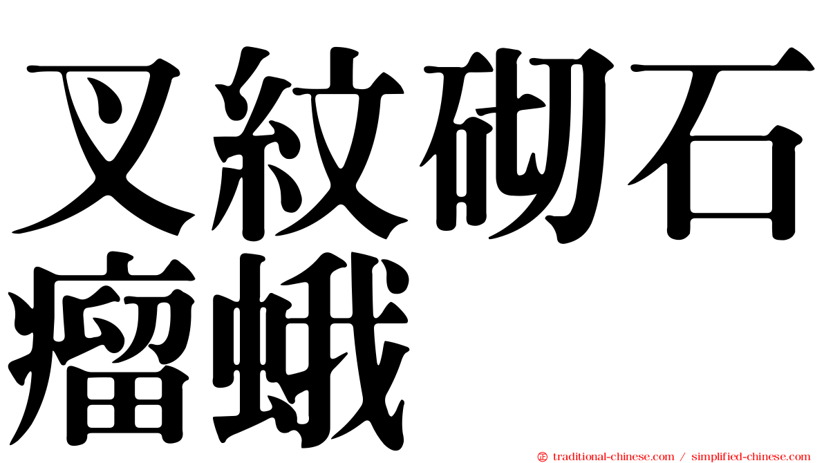 叉紋砌石瘤蛾