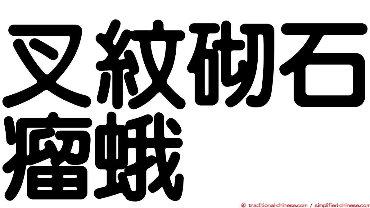 叉紋砌石瘤蛾