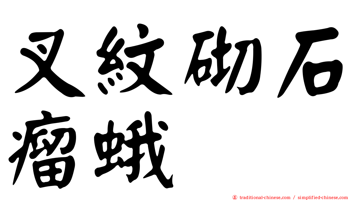 叉紋砌石瘤蛾