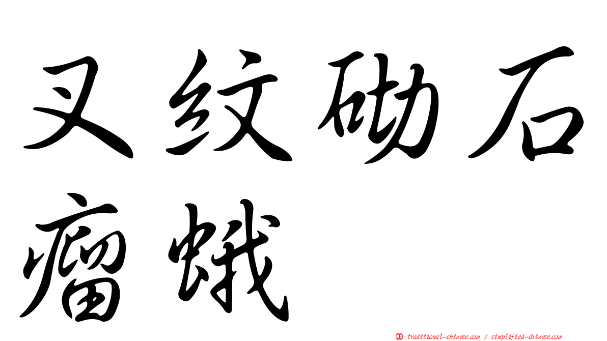 叉紋砌石瘤蛾