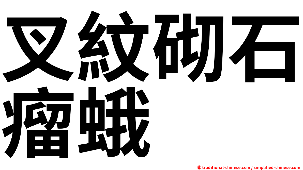 叉紋砌石瘤蛾