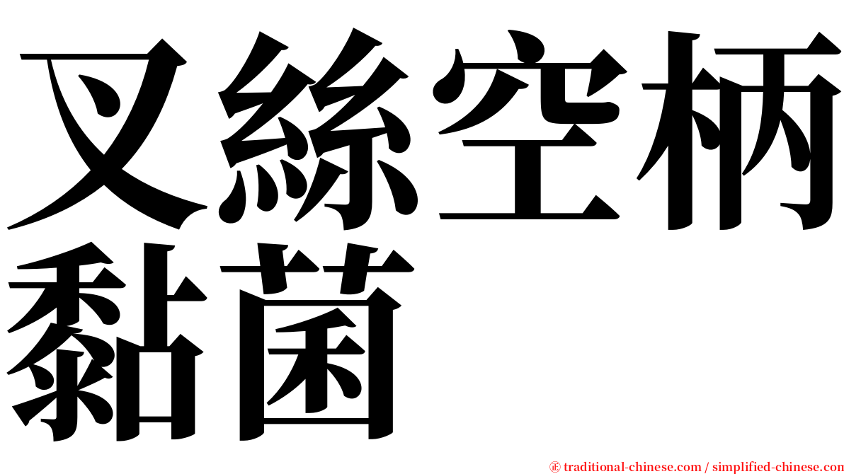 叉絲空柄黏菌 serif font