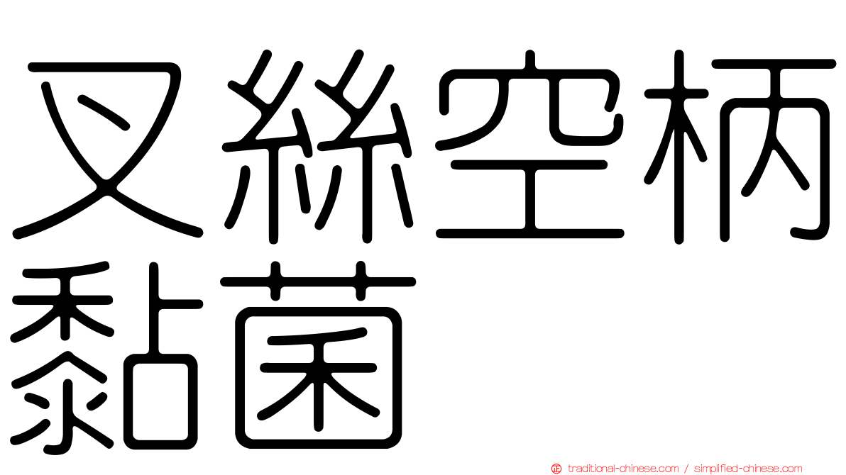 叉絲空柄黏菌