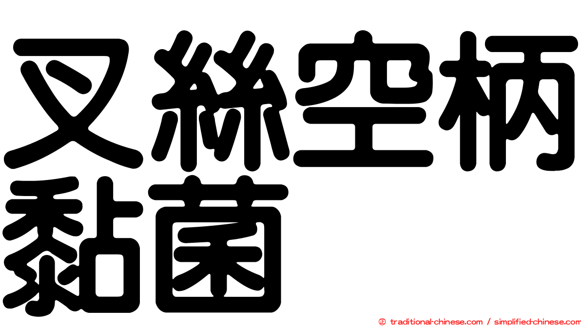 叉絲空柄黏菌