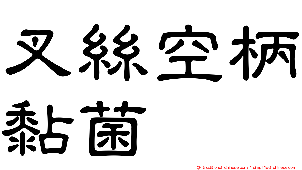 叉絲空柄黏菌