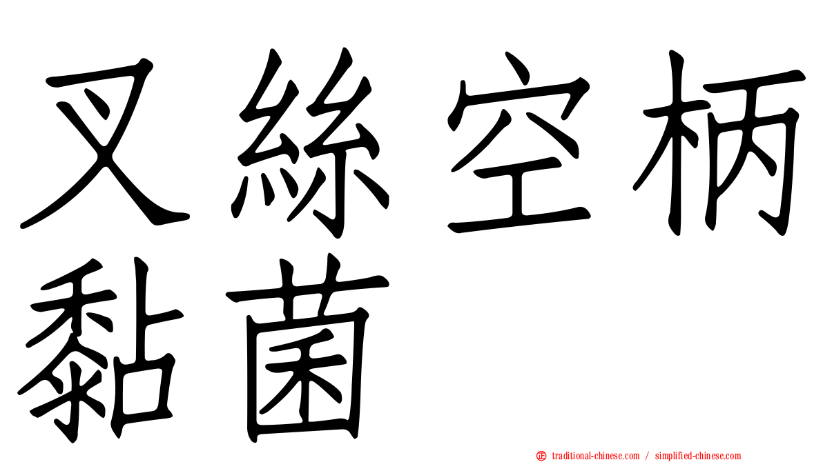 叉絲空柄黏菌