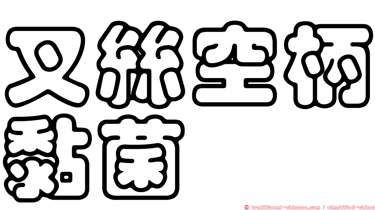 叉絲空柄黏菌