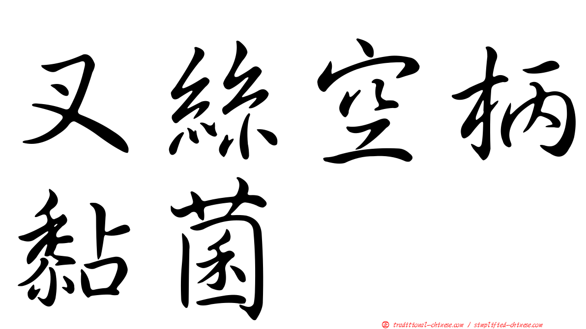 叉絲空柄黏菌