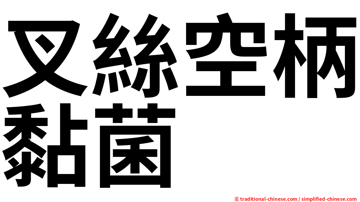 叉絲空柄黏菌