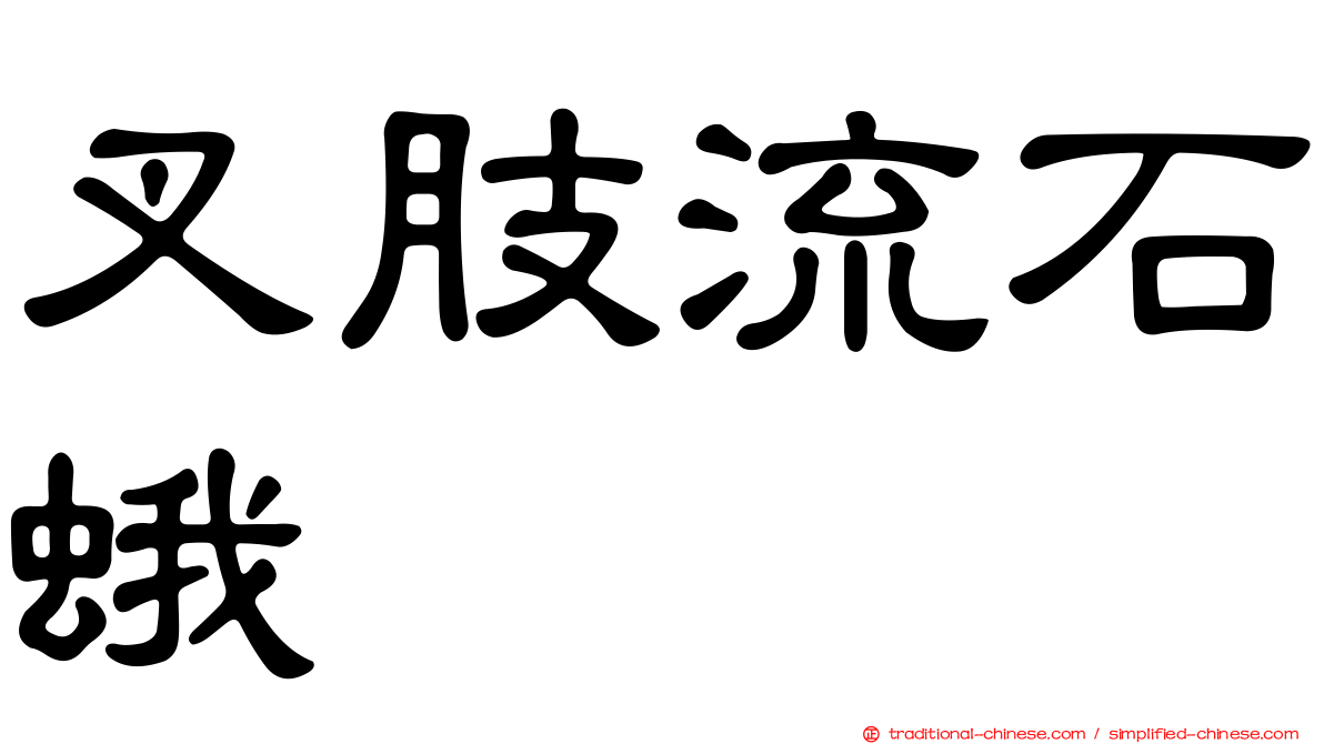 叉肢流石蛾