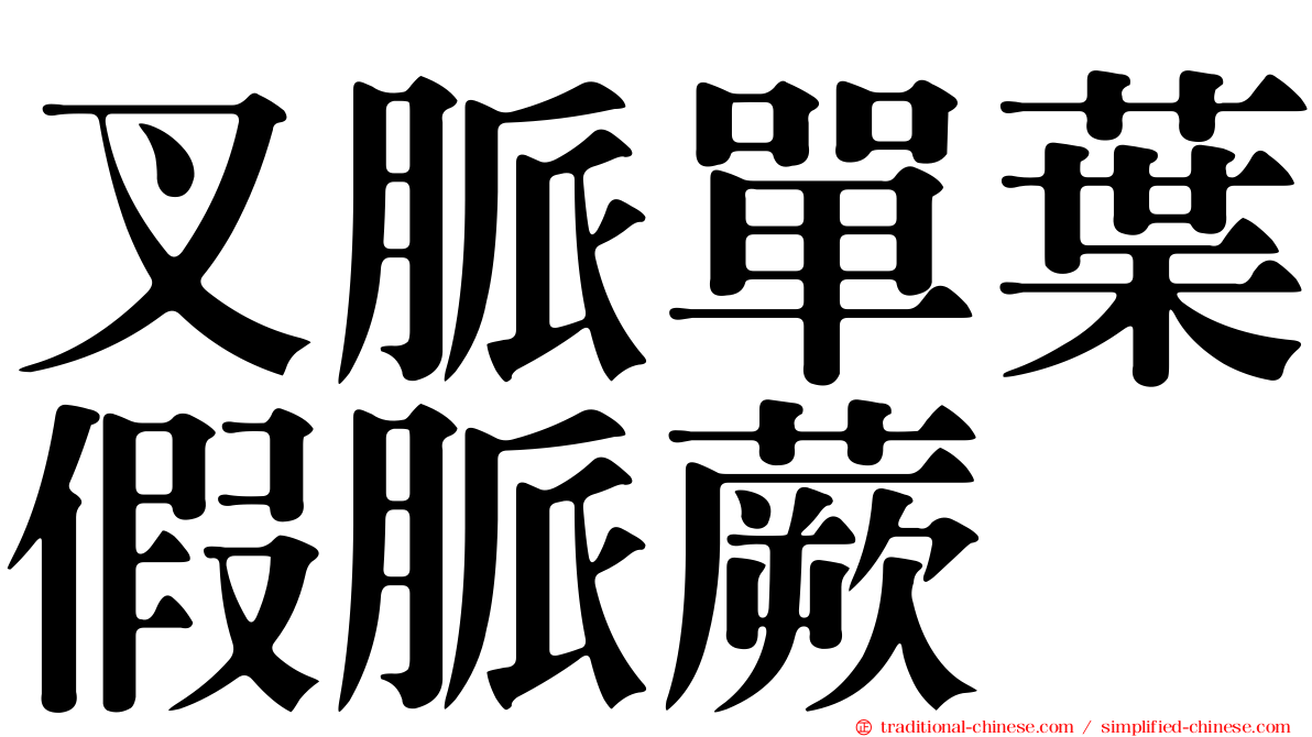 叉脈單葉假脈蕨