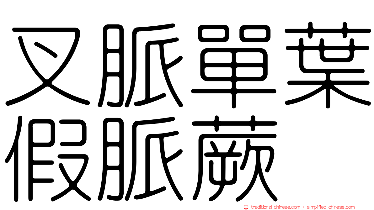 叉脈單葉假脈蕨