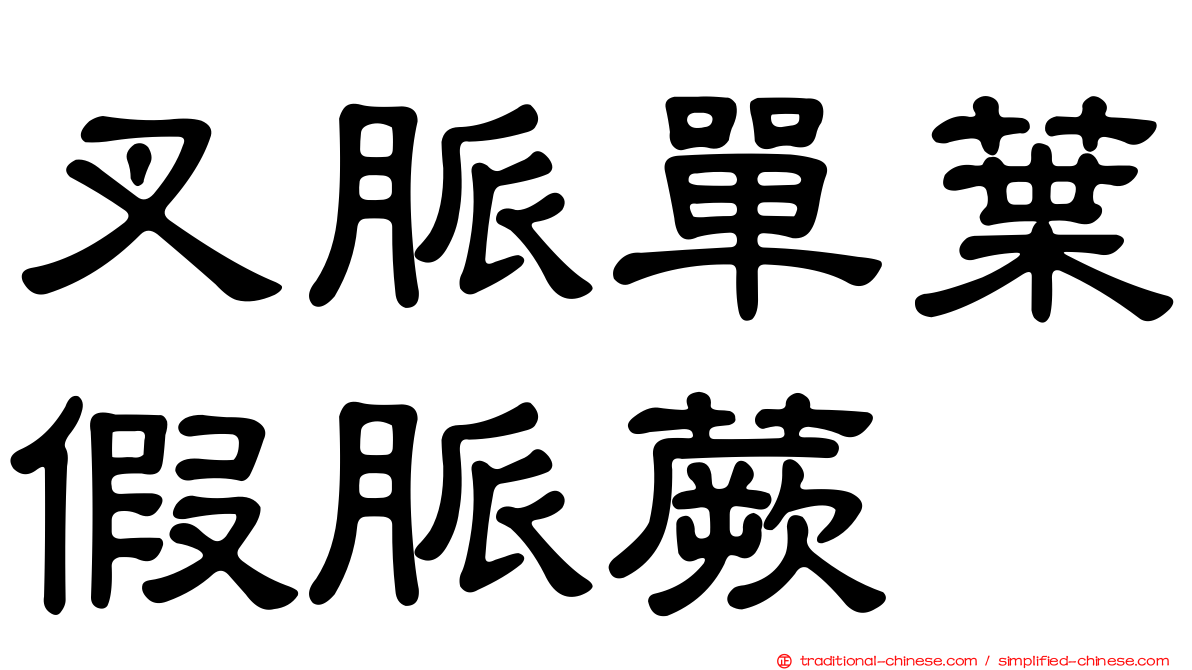 叉脈單葉假脈蕨