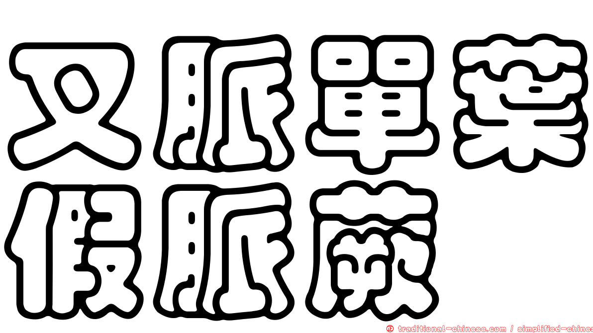 叉脈單葉假脈蕨