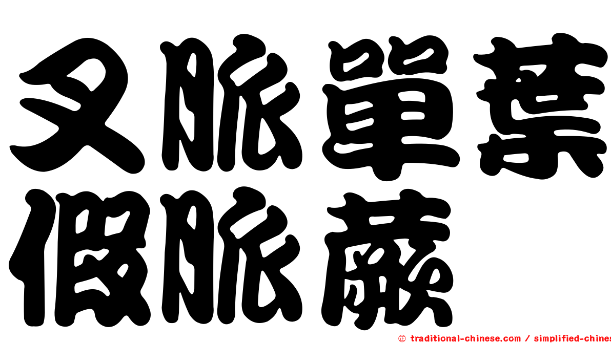 叉脈單葉假脈蕨