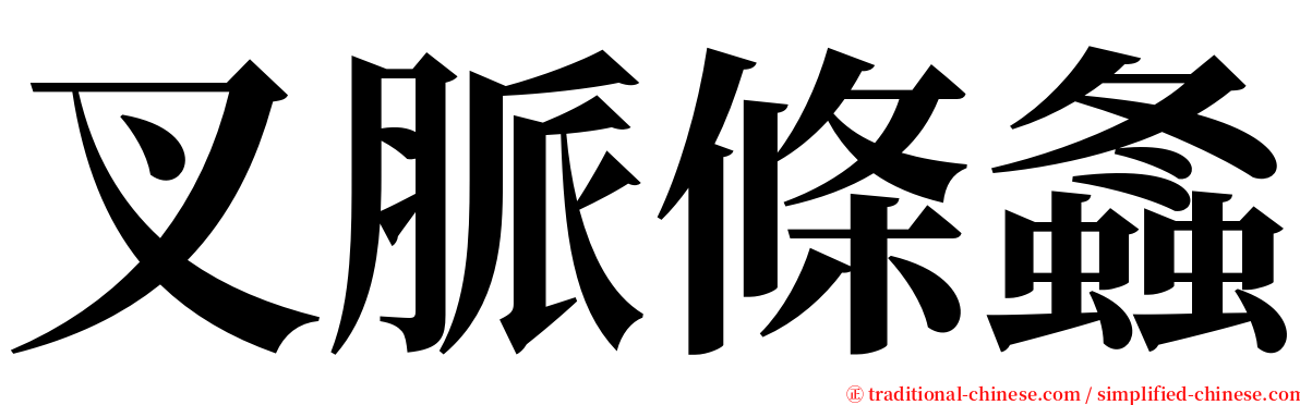 叉脈條螽 serif font