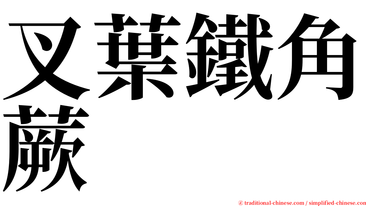 叉葉鐵角蕨 serif font