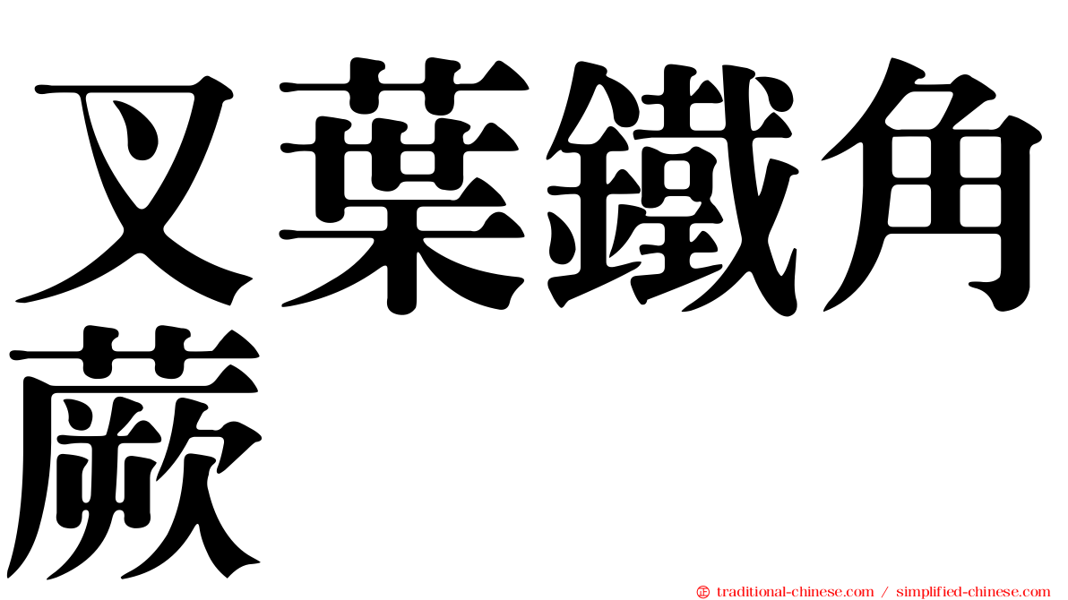 叉葉鐵角蕨
