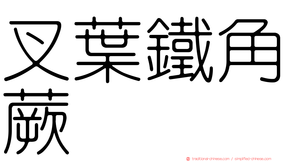 叉葉鐵角蕨