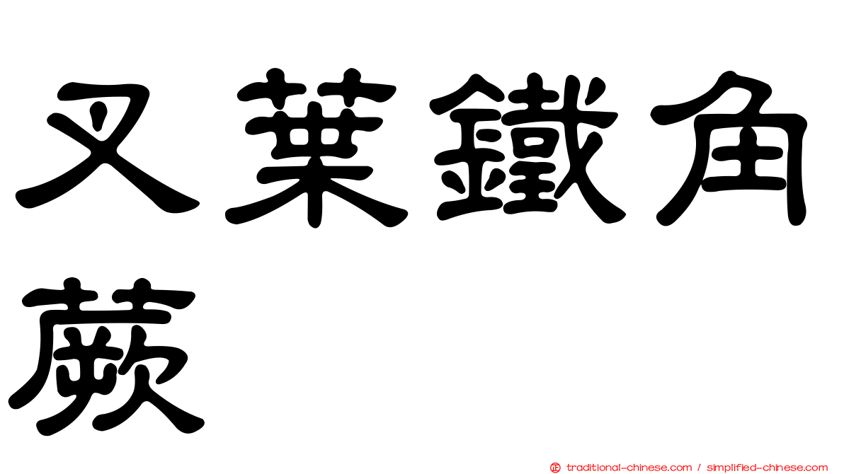 叉葉鐵角蕨
