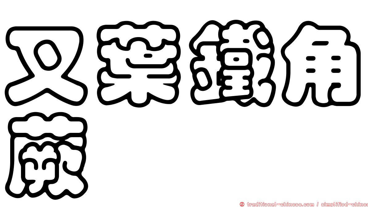 叉葉鐵角蕨