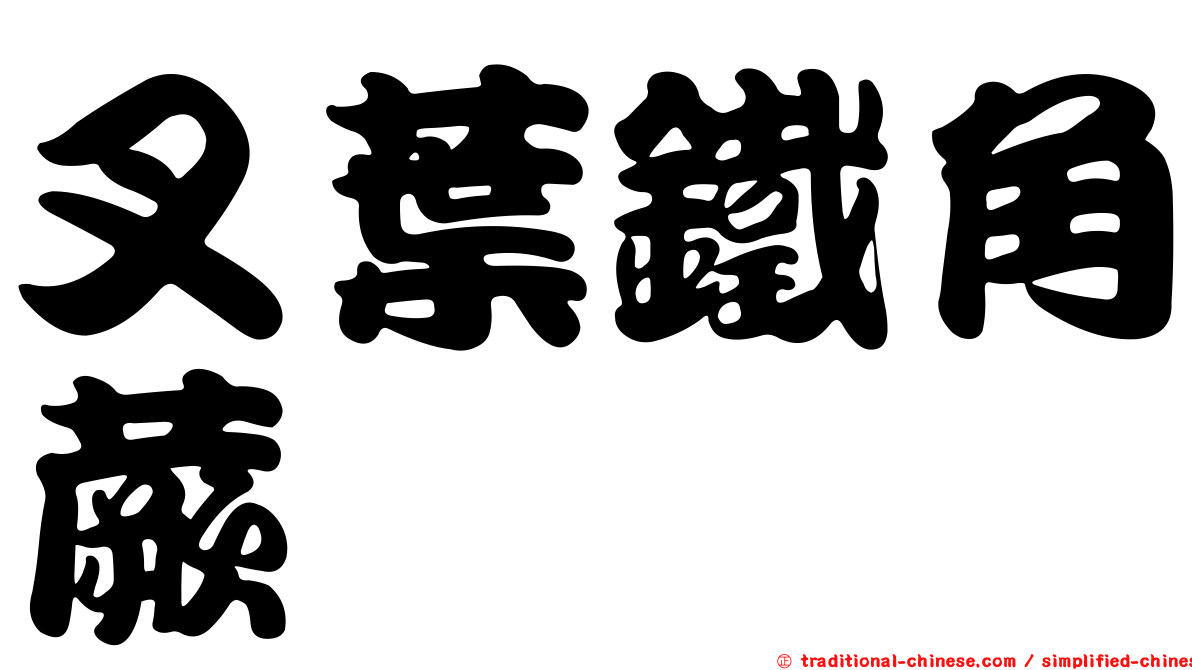 叉葉鐵角蕨