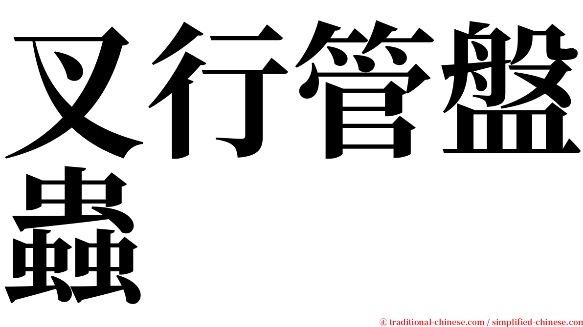 叉行管盤蟲 serif font