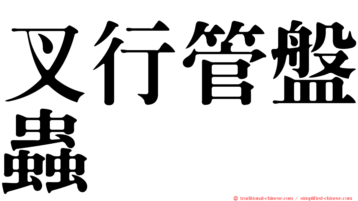 叉行管盤蟲