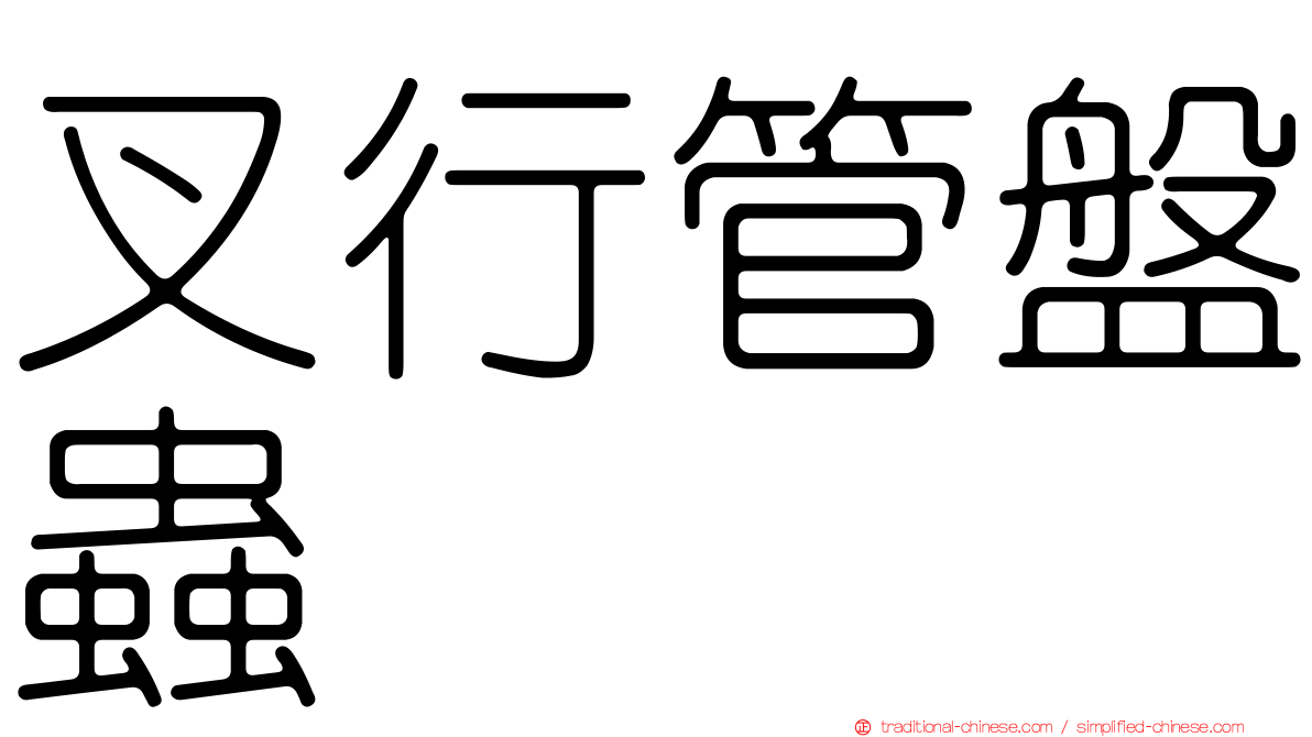 叉行管盤蟲