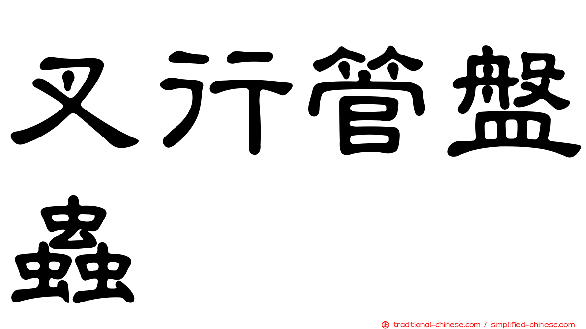 叉行管盤蟲