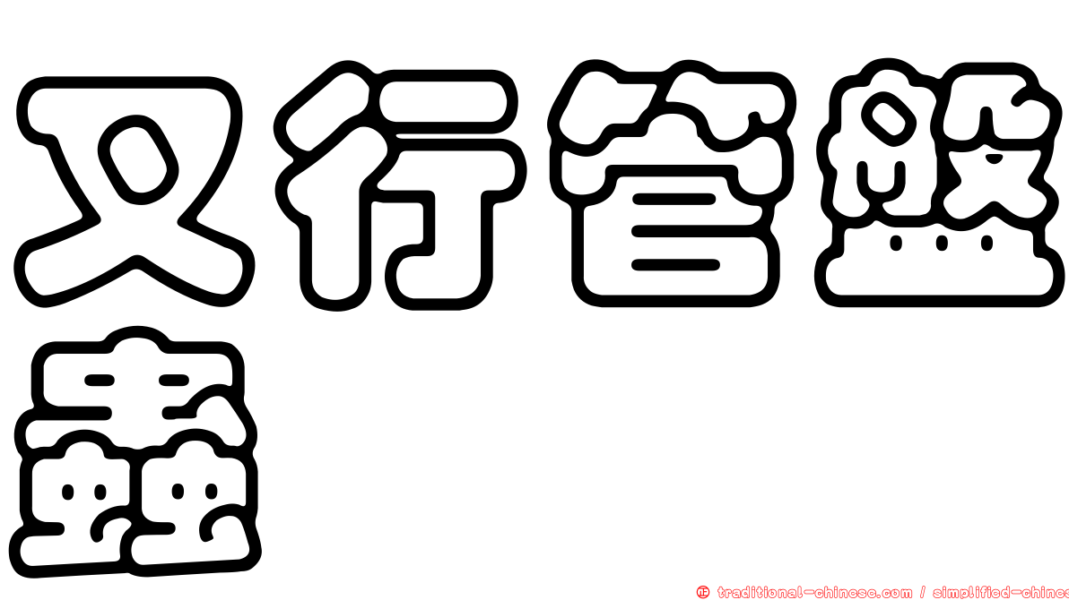 叉行管盤蟲