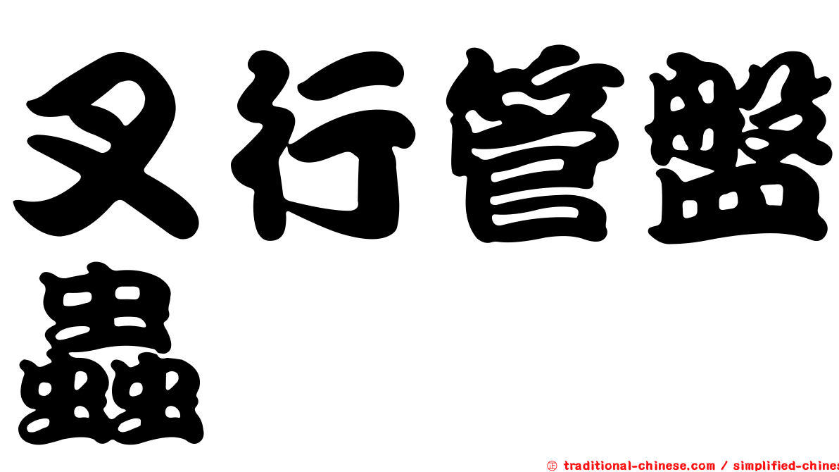 叉行管盤蟲