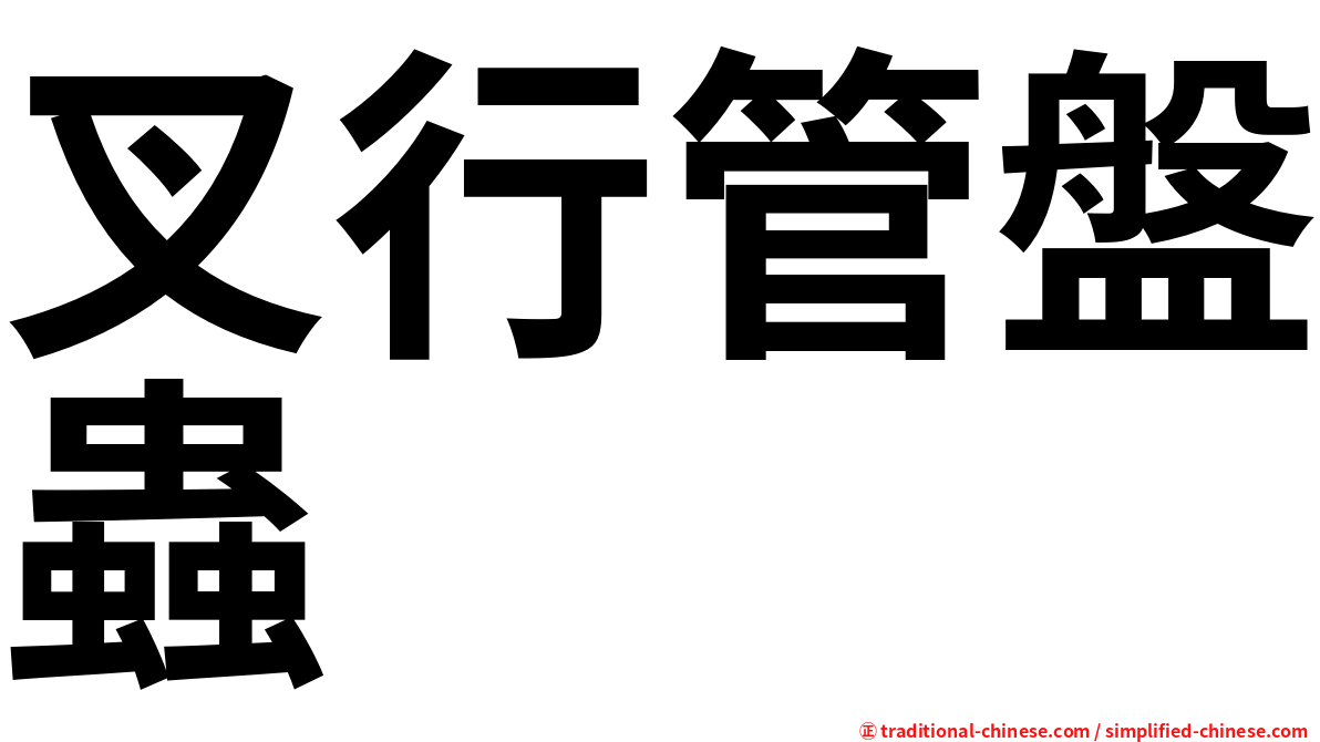 叉行管盤蟲