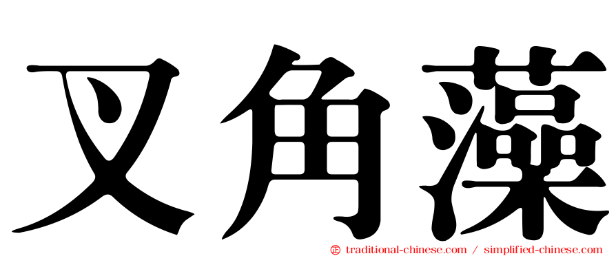 叉角藻