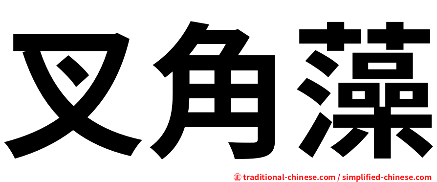 叉角藻