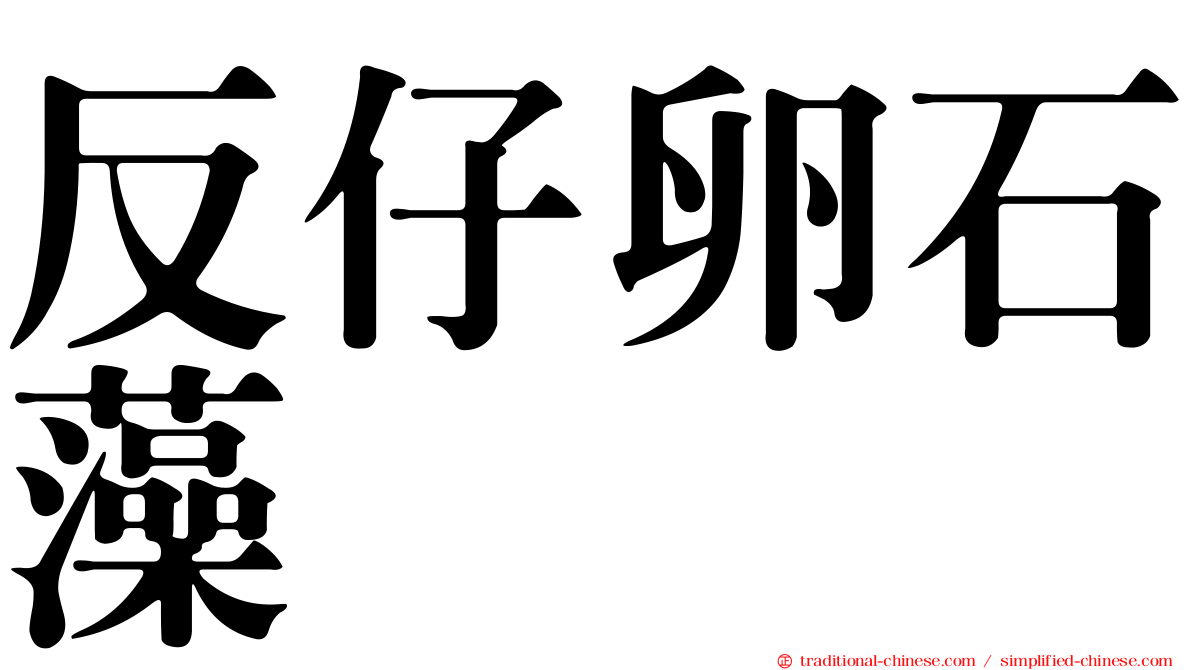 反仔卵石藻