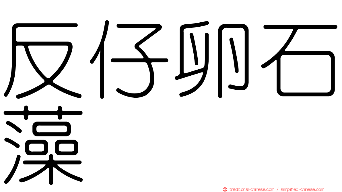 反仔卵石藻