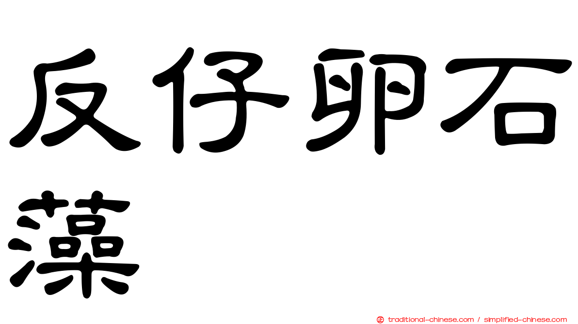 反仔卵石藻