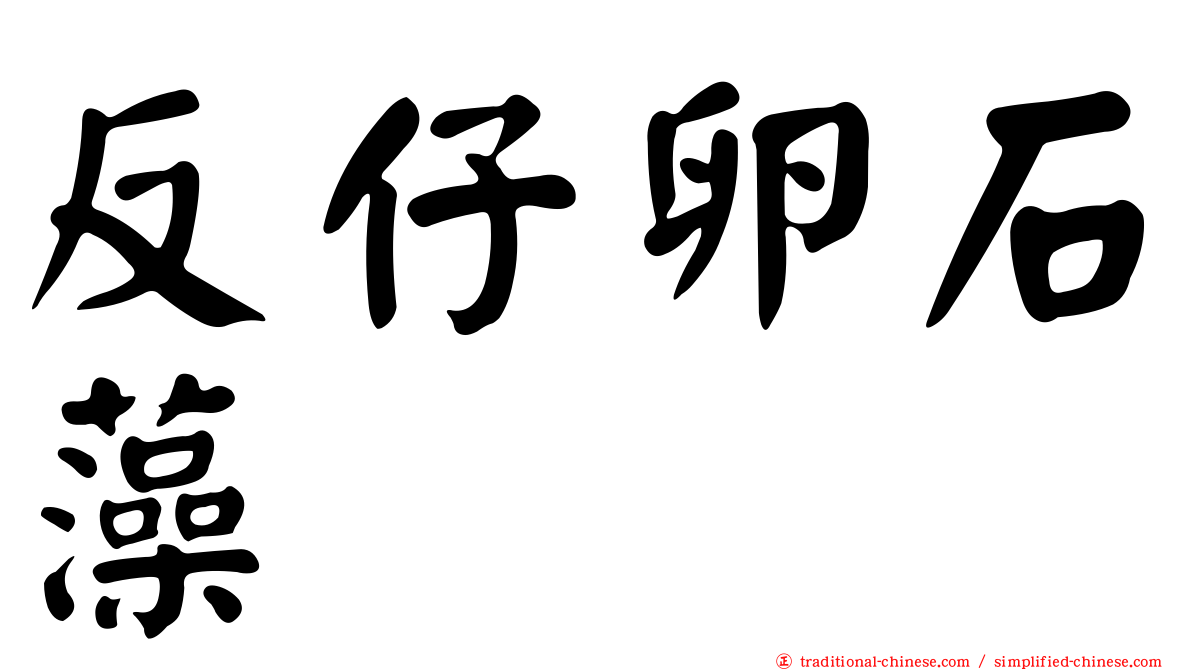 反仔卵石藻