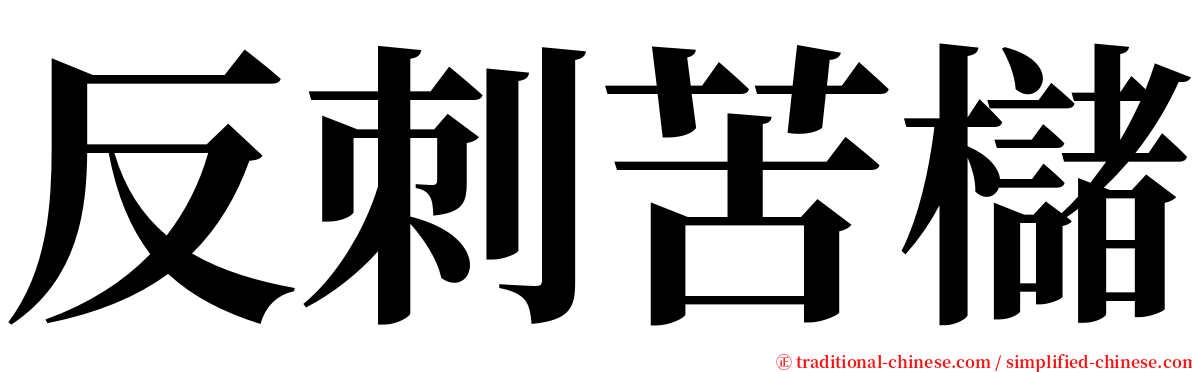 反刺苦櫧 serif font