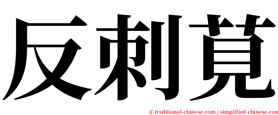 反刺莧 serif font