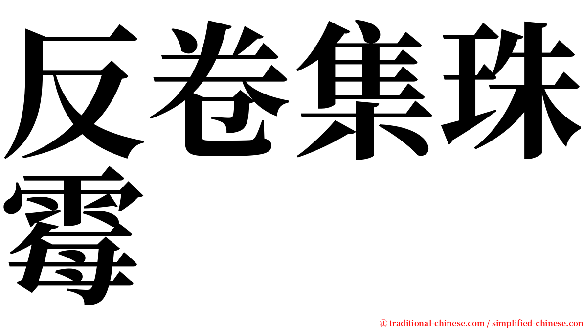 反卷集珠霉 serif font