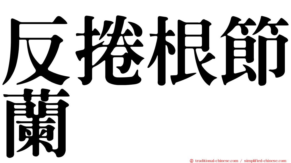 反捲根節蘭