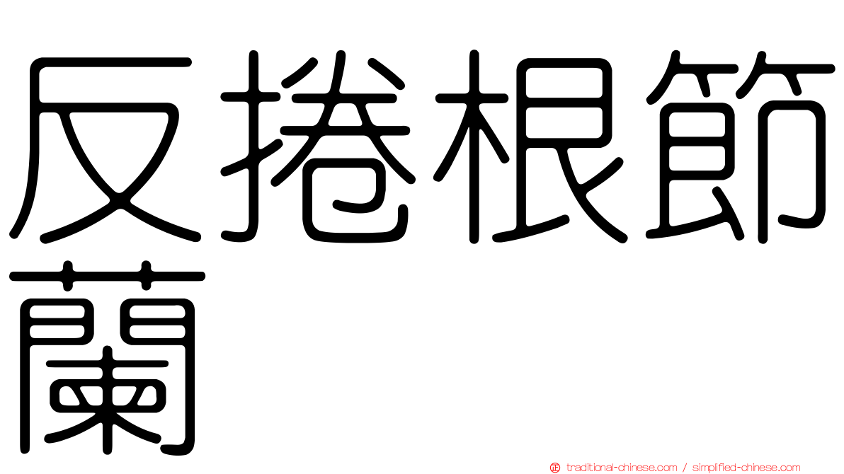 反捲根節蘭