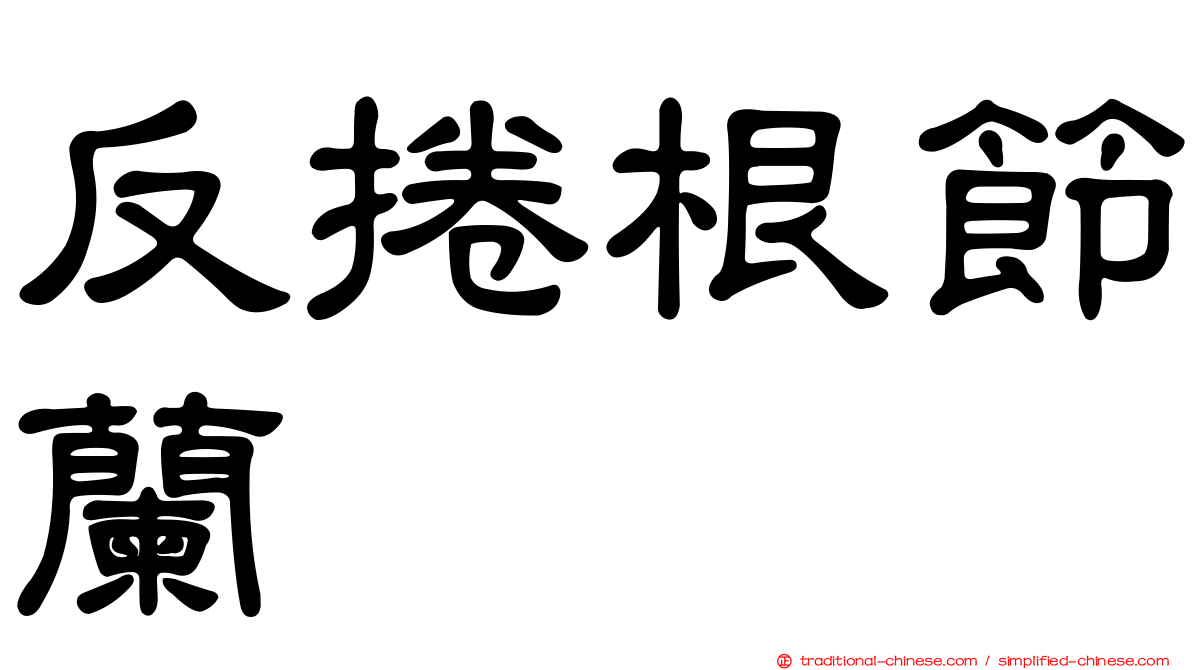 反捲根節蘭