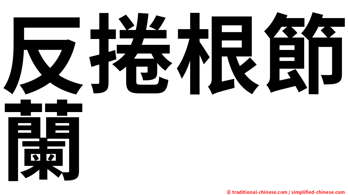 反捲根節蘭